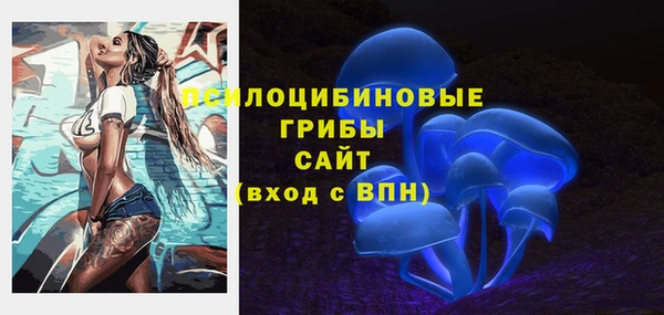 бошки Аркадак